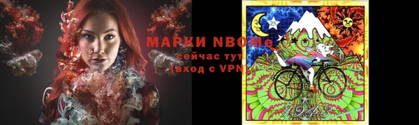мдпв Михайлов