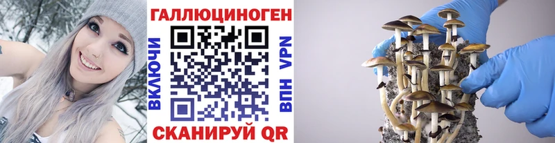 Галлюциногенные грибы прущие грибы  Сорск 